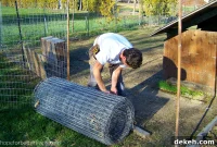 Farm Life Adventures: Day 4 of Our Visit to the Farm