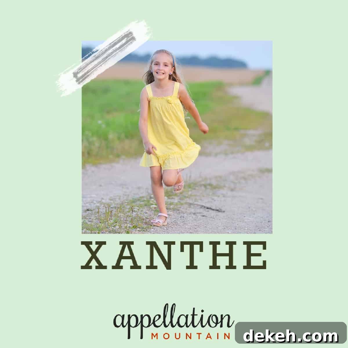 featured 496
