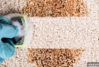 Affordable Carpet Cleaning Methods That Save You Money