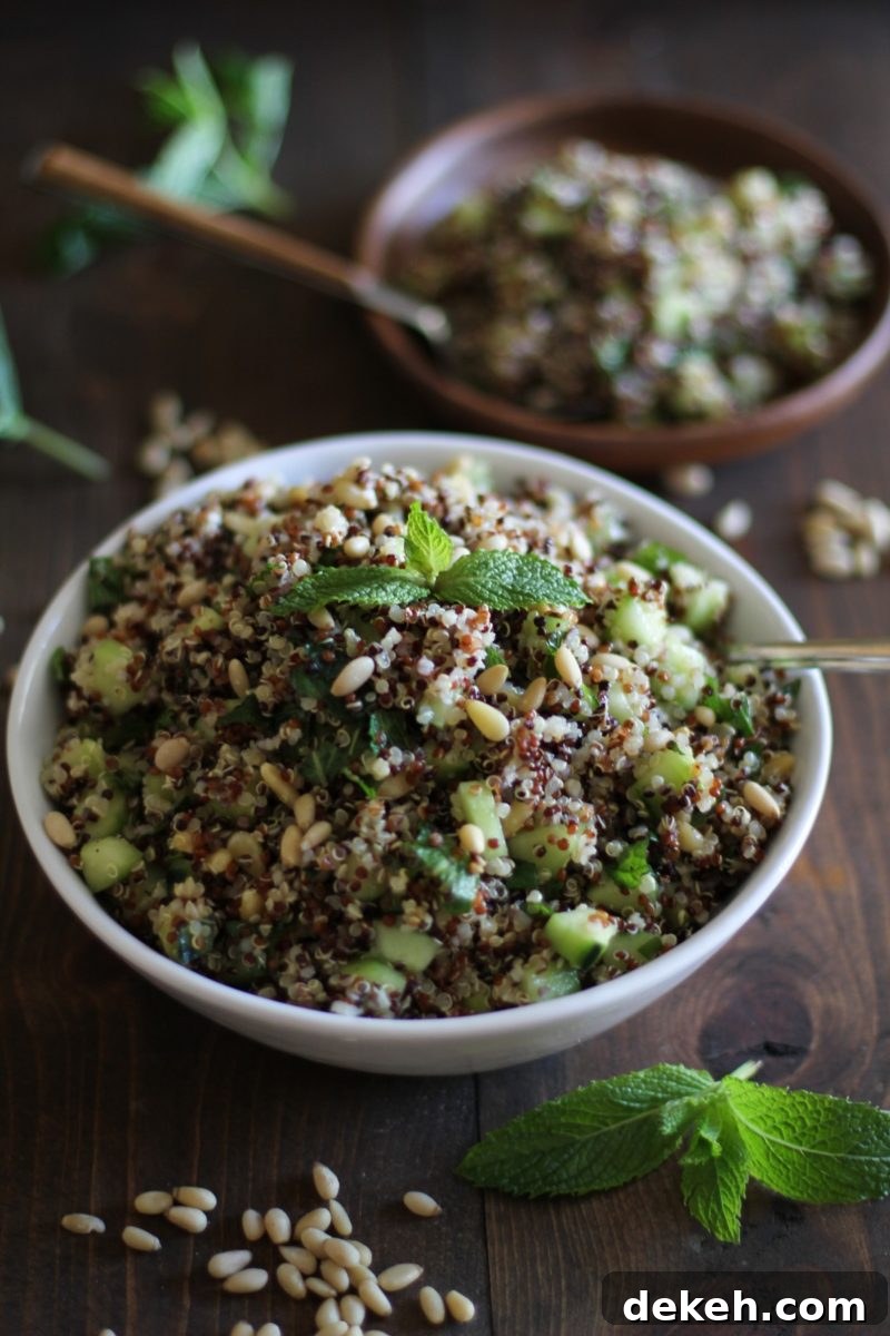 Refreshing tri-color quinoa salad with cucumber, mint, and lime dressing | theroastedroot.net #vegan #healthy #recipe #vegetarian