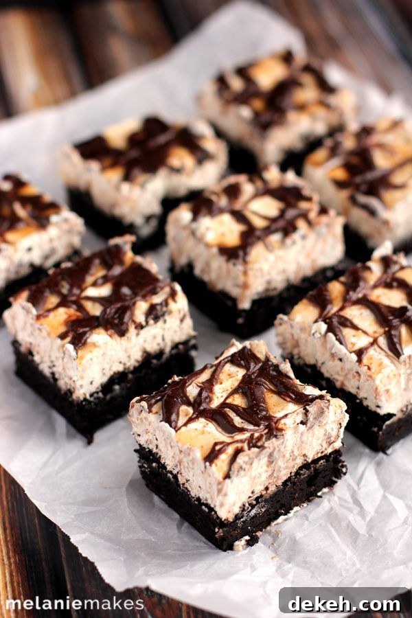 Snickerdoodle Cheesecake Brownie Bars by Melanie Makes