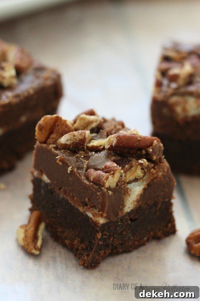 Mississippi Mud Brownies by Diary of a Recipe Collector