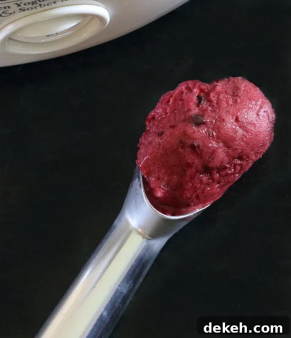 Scoop of cherry hibiscus dairy-free sorbet