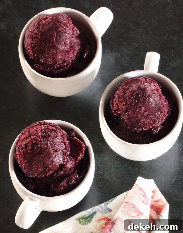 Three cups of blueberry dairy-free sorbet using the "freeze & stir" method