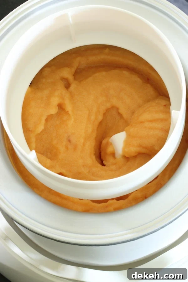 Peach dairy-free sorbet in ice cream maker