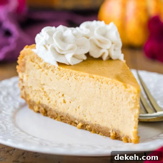 Slice of pumpkin cheesecake topped with cinnamon whipped cream on a white plate.