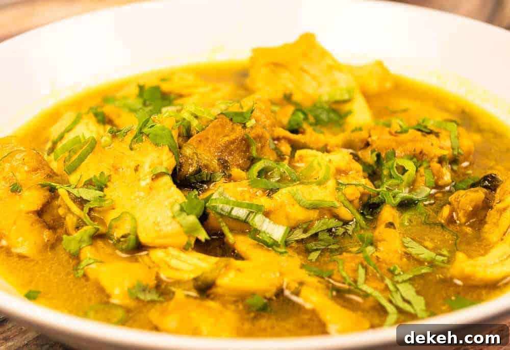 Instant Pot Chicken Curry Closeup