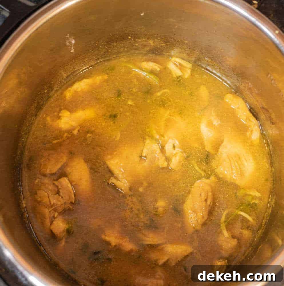 Chicken Curry done cooking in the Instant Pot.