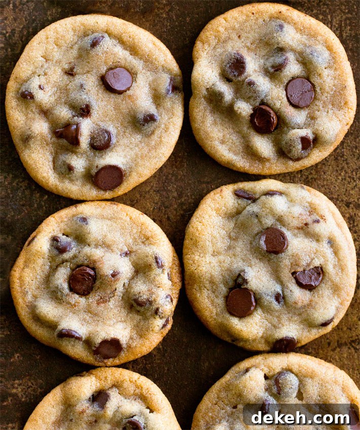 Vegan Chocolate Chip Cookies