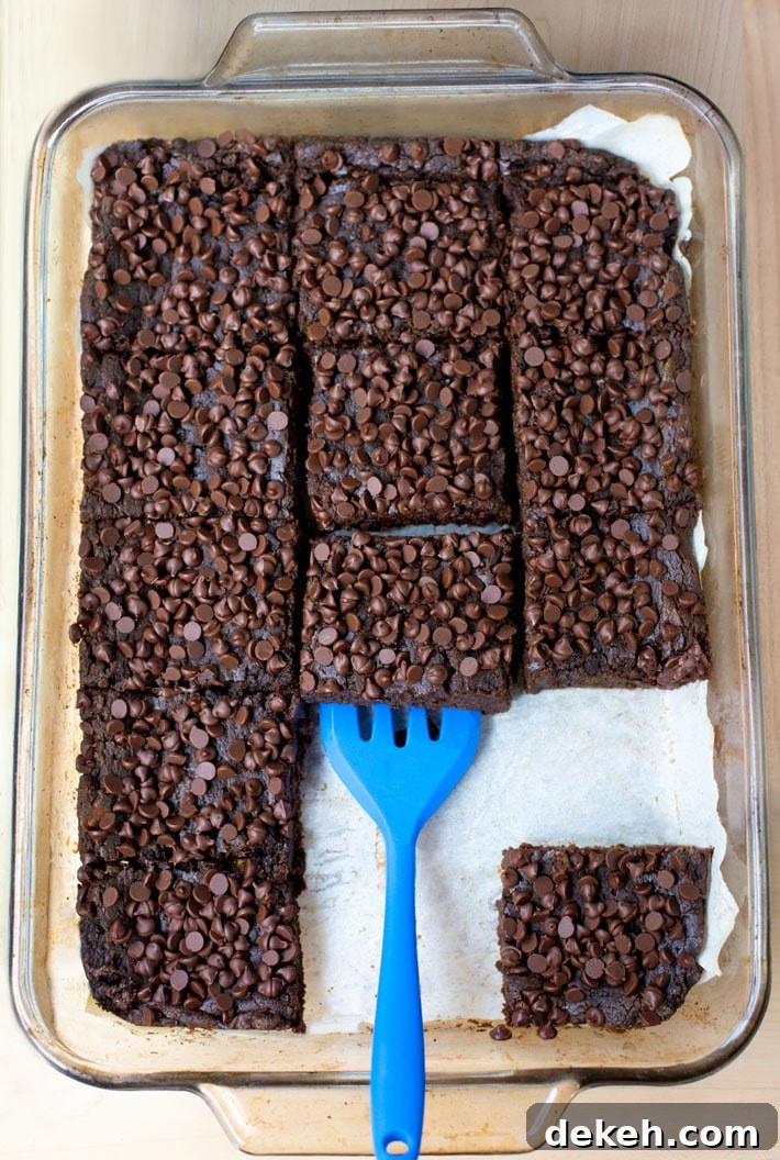 Black Bean Healthy Brownies
