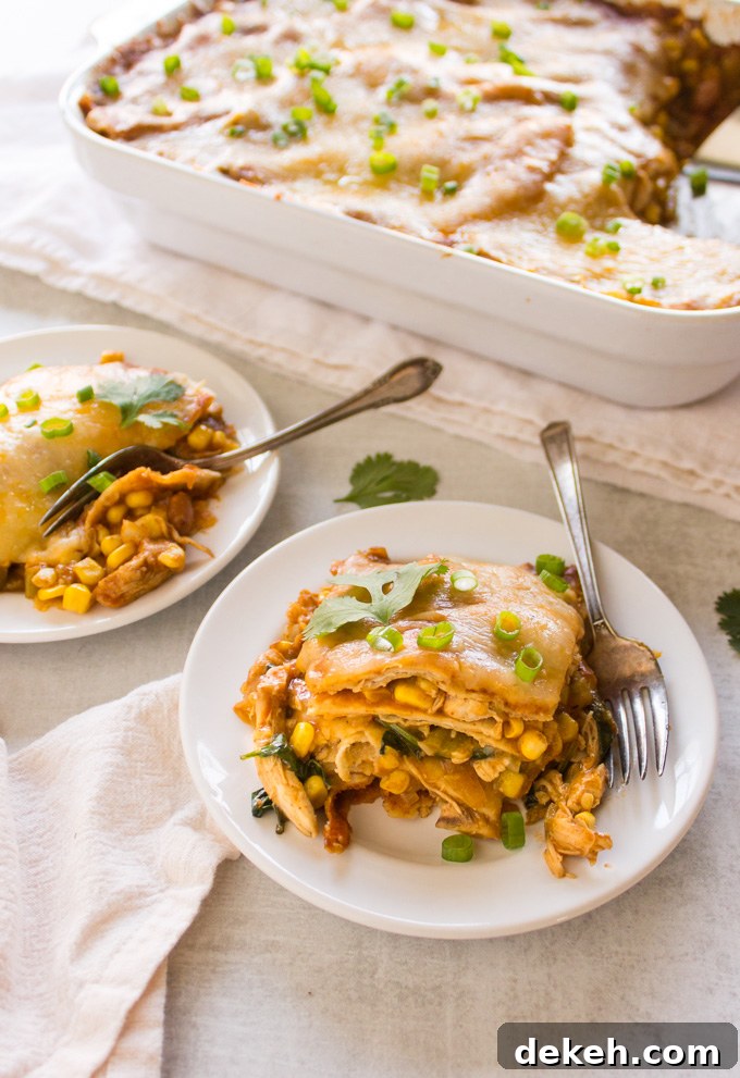 Easy Chicken Enchilada Casserole - all the enchilada flavors made into a casserole that's layered with corn tortillas. This casserole is perfect for feeding a crowd or meal prep. Makes great leftovers. #chicken #recipe #enchiladas #Mexicanfood #cincodemayo #glutenfree #corn #cleaneating #healthyfood #cheese #mealprep | robustrecipes.com