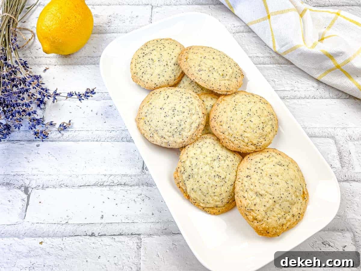 A top-down shot of Lemon Poppy Seed Cookies on a white plate.