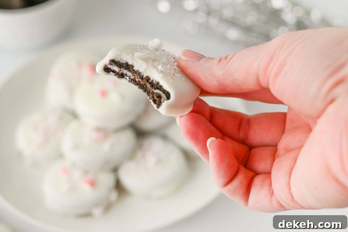 A hand holds a Peppermint Crunch Oreo with a bite taken out, with more cookies on a plate in the background.