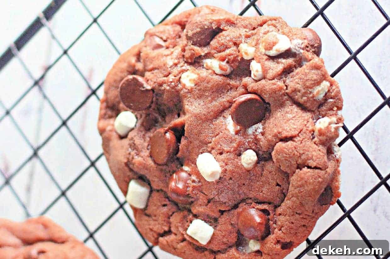A close-up of a cocoa chip cookie with white and dark chocolate chunks resting on a black cooling rack.