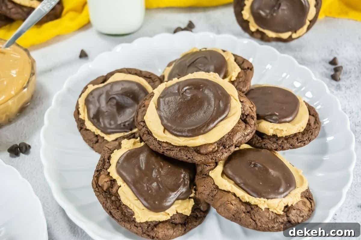 A white plate holds several chocolate cookies topped with a layer of peanut butter and a swirl of chocolate frosting.