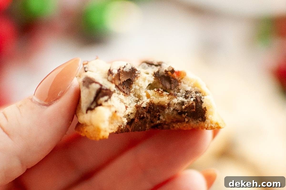 A hand holding a partially eaten Cranberry chocolate chip cookie in focus, with a blurred background.