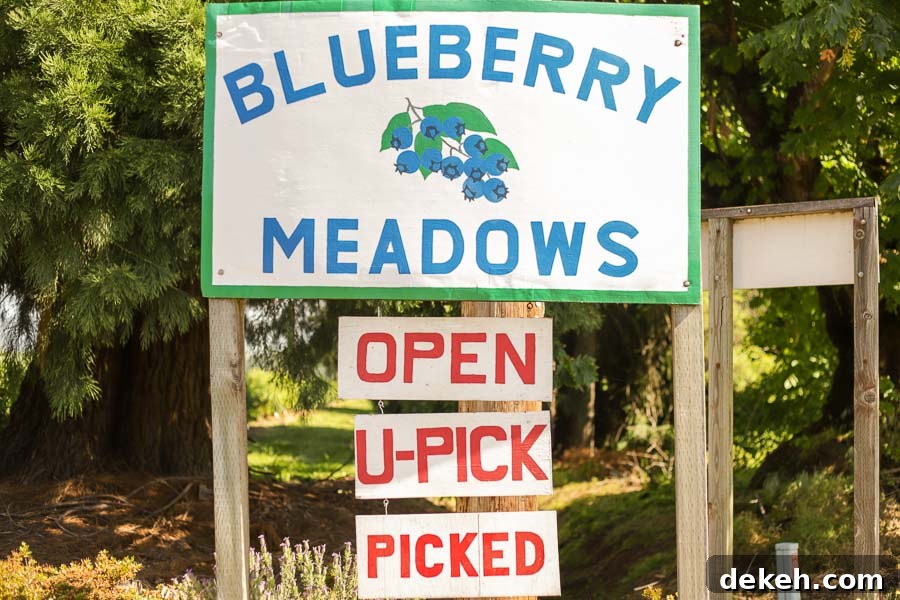 Blueberry Meadows sign