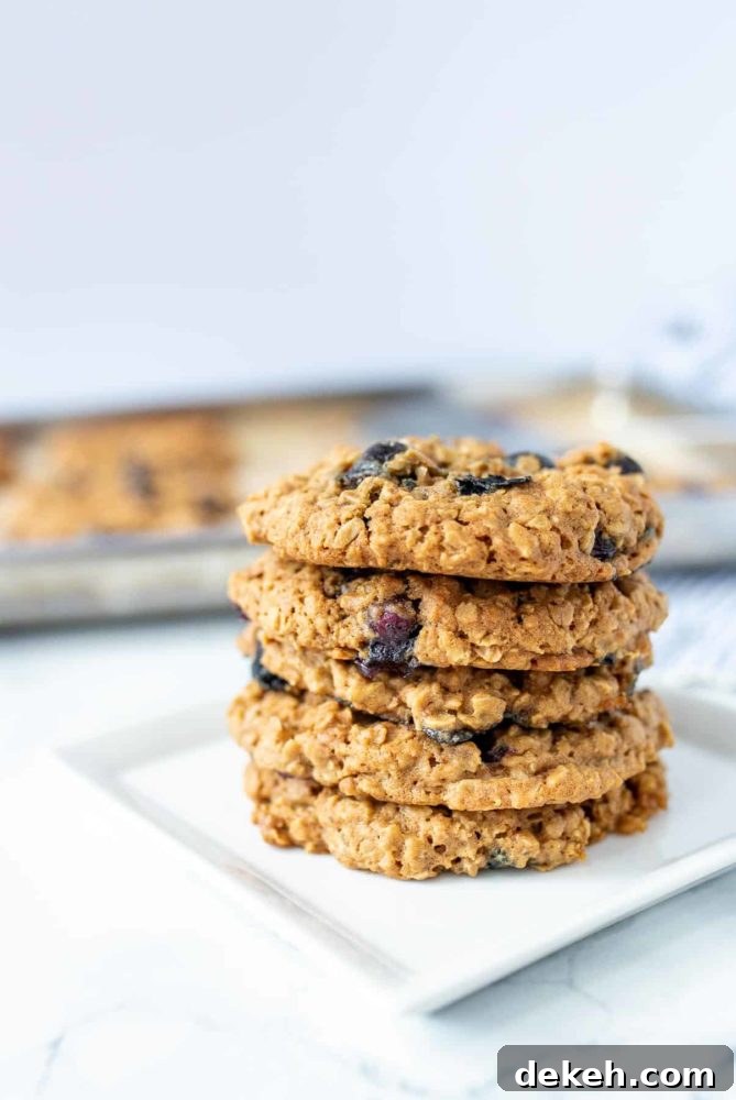 5 blueberry oatmeal cookies stacked up on a square white plate with more cookies on a baking sheet in the background