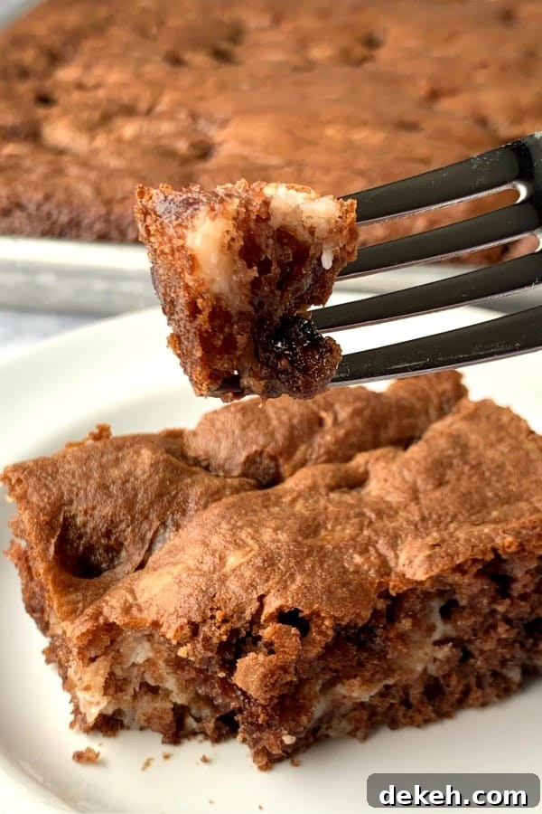 Easy Marbled Chocolate Cake is easy to make. A bite on a fork above piece