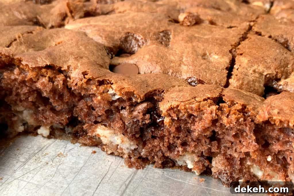 Chocolate bars marbled with cream cheese and chocolate chips