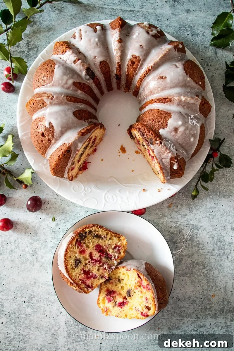 Sweet, tart, and full of chocolatey goodness, this Cranberry Eggnog Chocolate Chip Cake is the ultimate holiday dessert! Quick and easy to make—no mixer needed—this festive cake combines rich eggnog flavor with juicy cranberries and chocolate chips for a delicious Christmas or New Year treat!