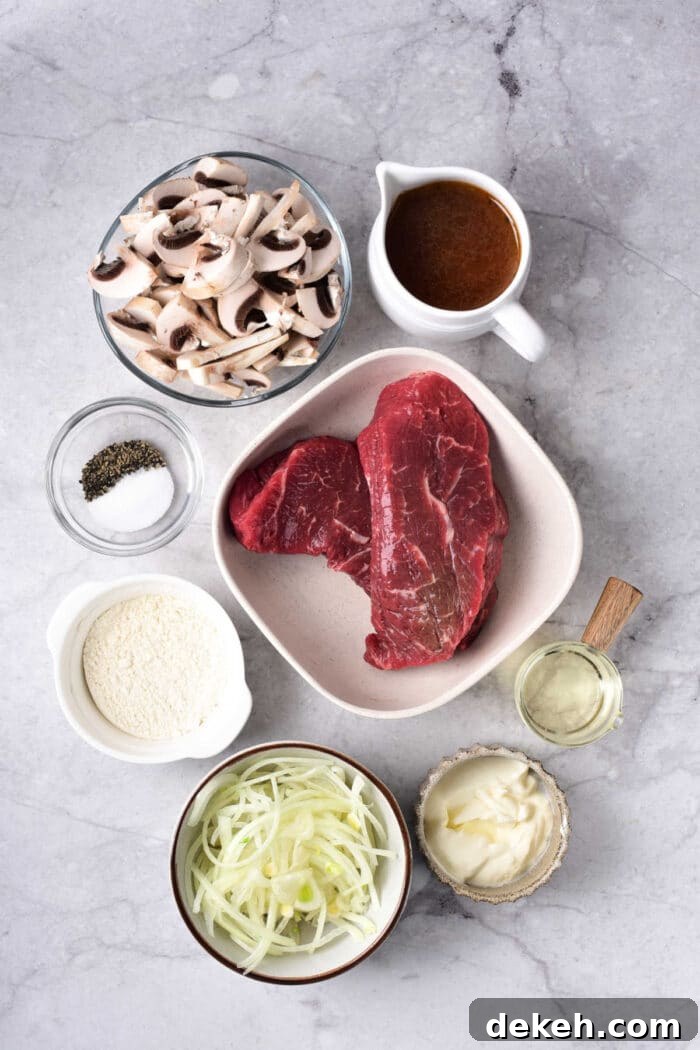 Dairy Free Beef Stroganoff Recipe