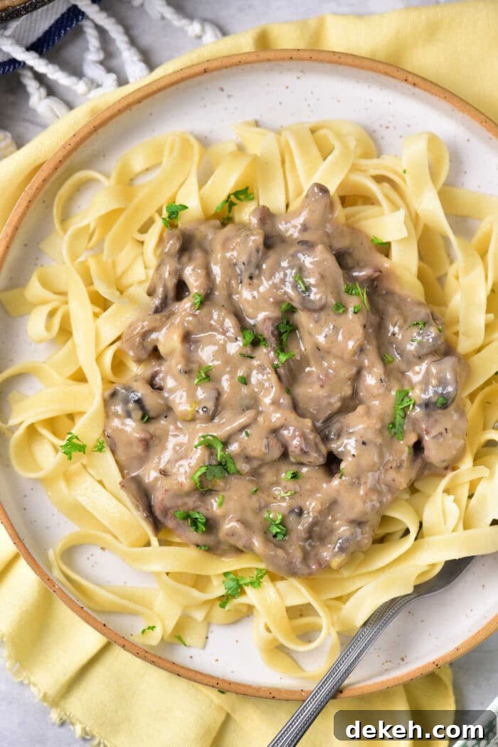 Dairy Free Stroganoff