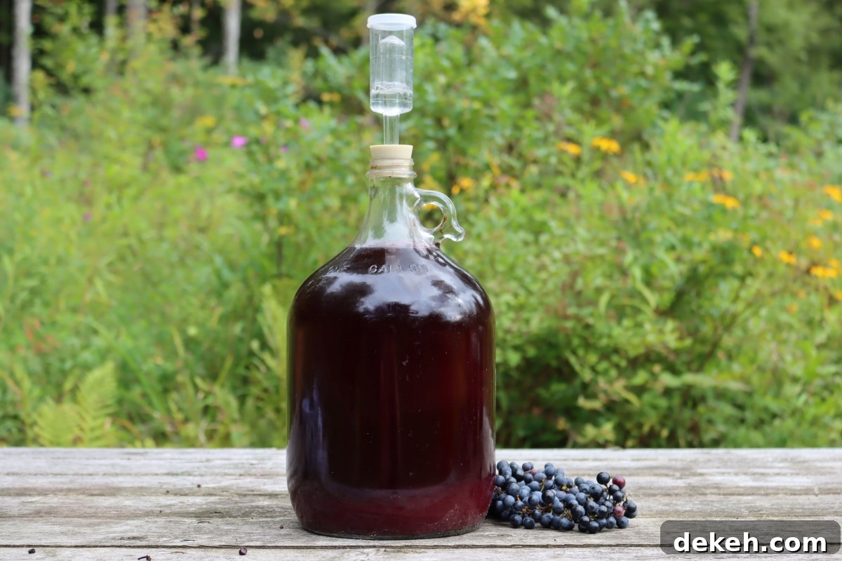 Wild Grape Wine