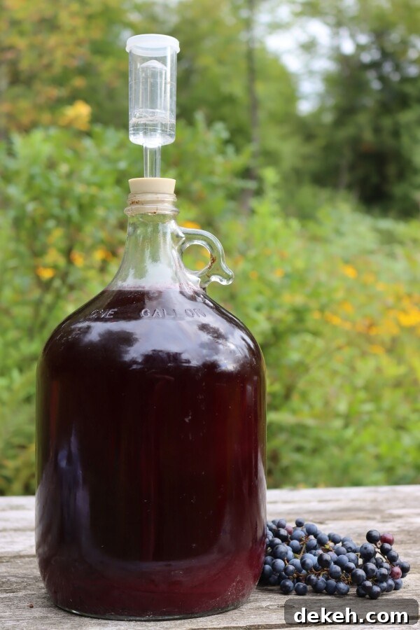 Wild Grape Wine