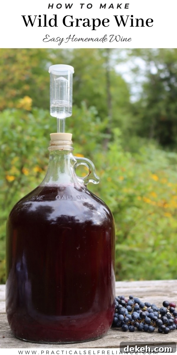 How to Make Wild Grape Wine