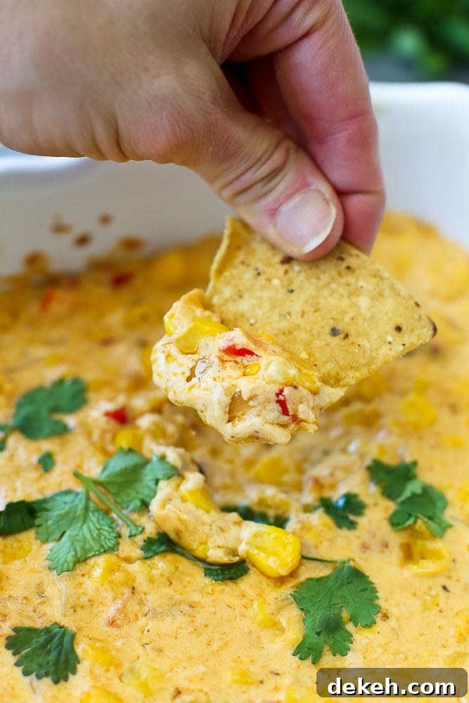 Hot Corn Dip Recipe-close up of taking a chip into the cheesy dip