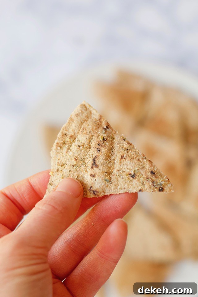 Homemade Pita Chips in Hand