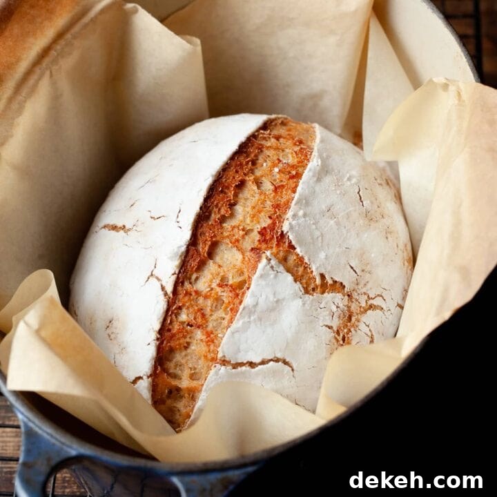 Gluten Free Artisan Dutch Oven Bread