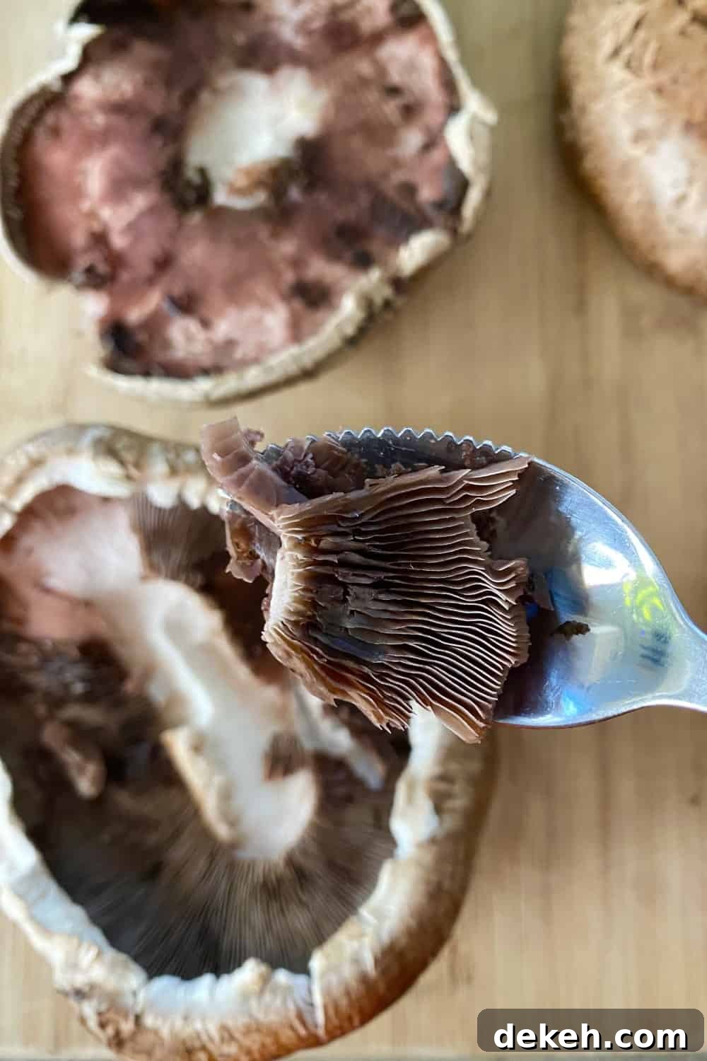 A spoon being used to remove the gills from portobello mushrooms.