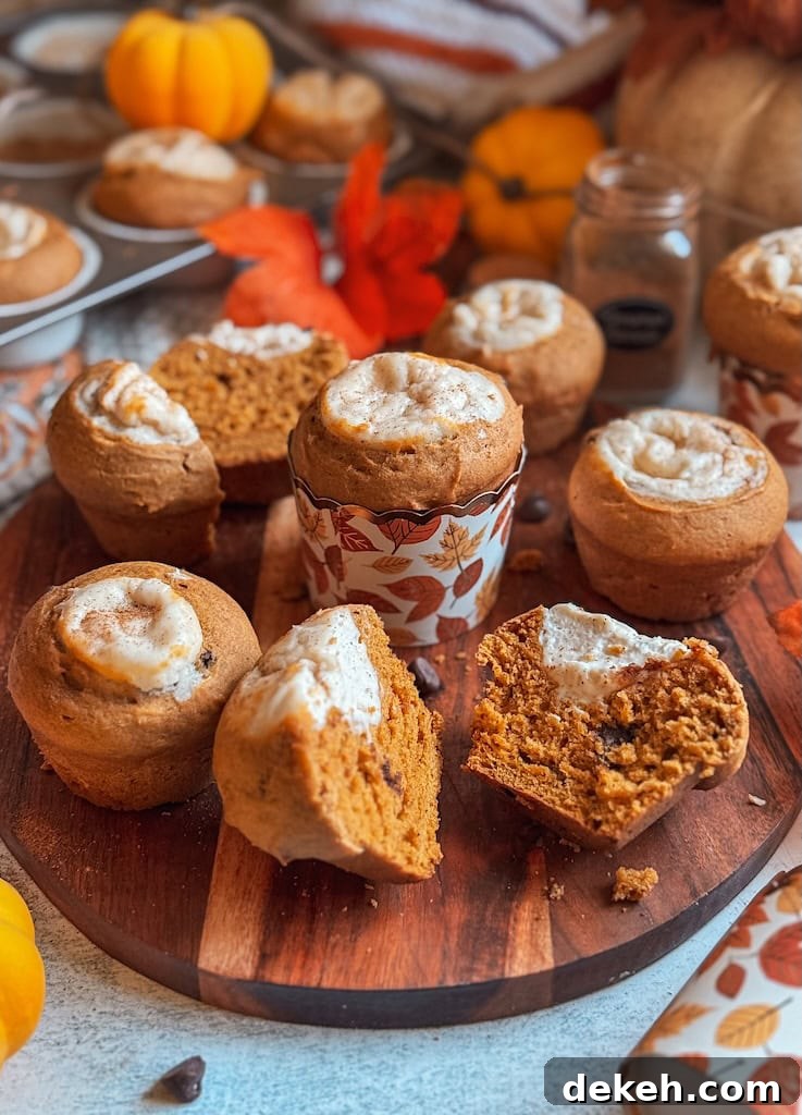 Pumpkin cream cheese muffins with chocolate chips on wooden board – fall baking recipe inspired by Starbucks pumpkin muffin.