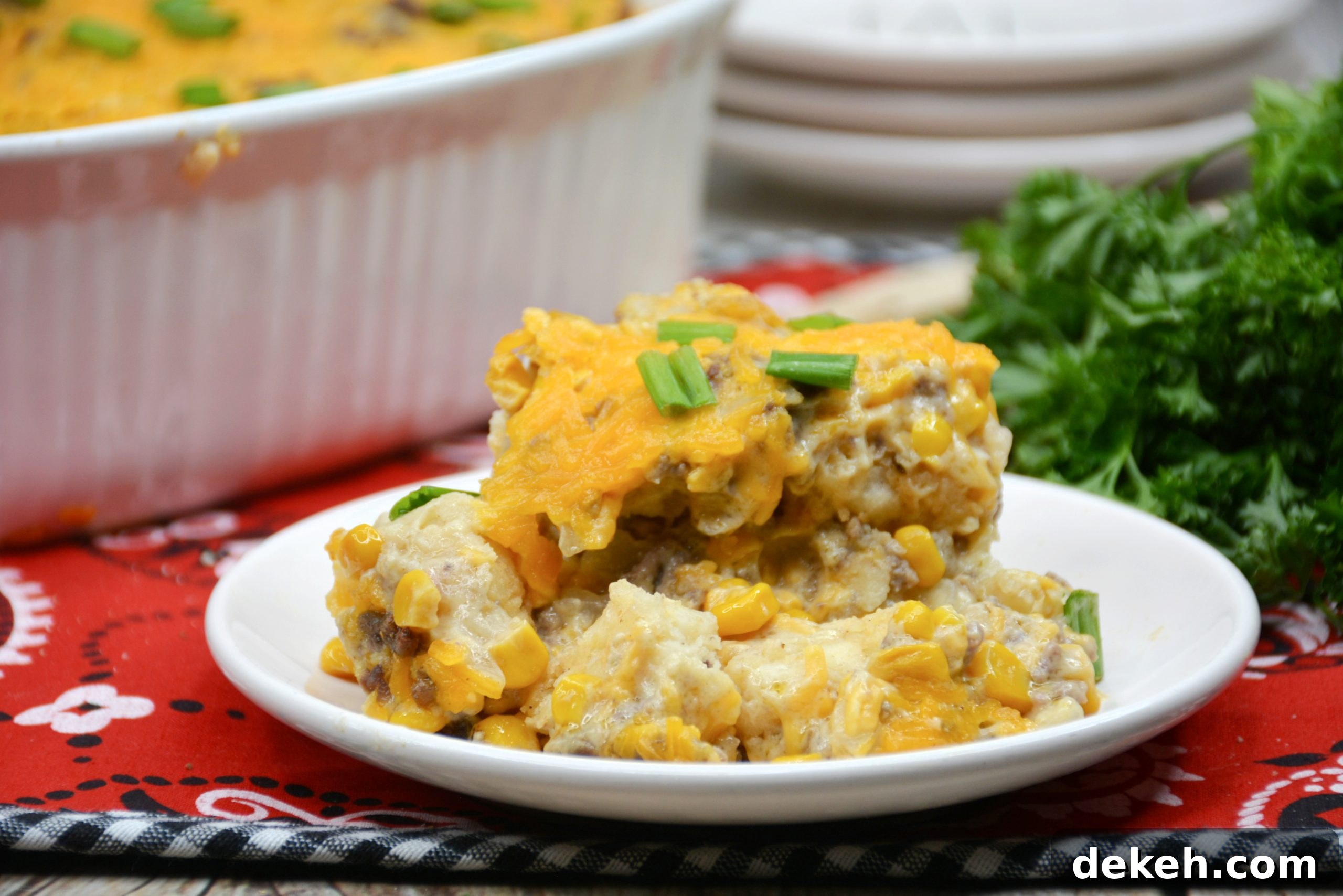 Close up of casserole