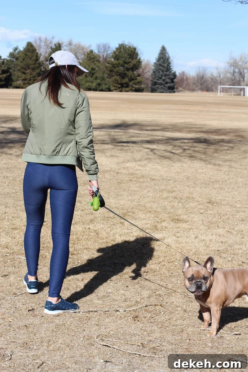 PaleOMG: Everyday Colorado Park Life with My Pup