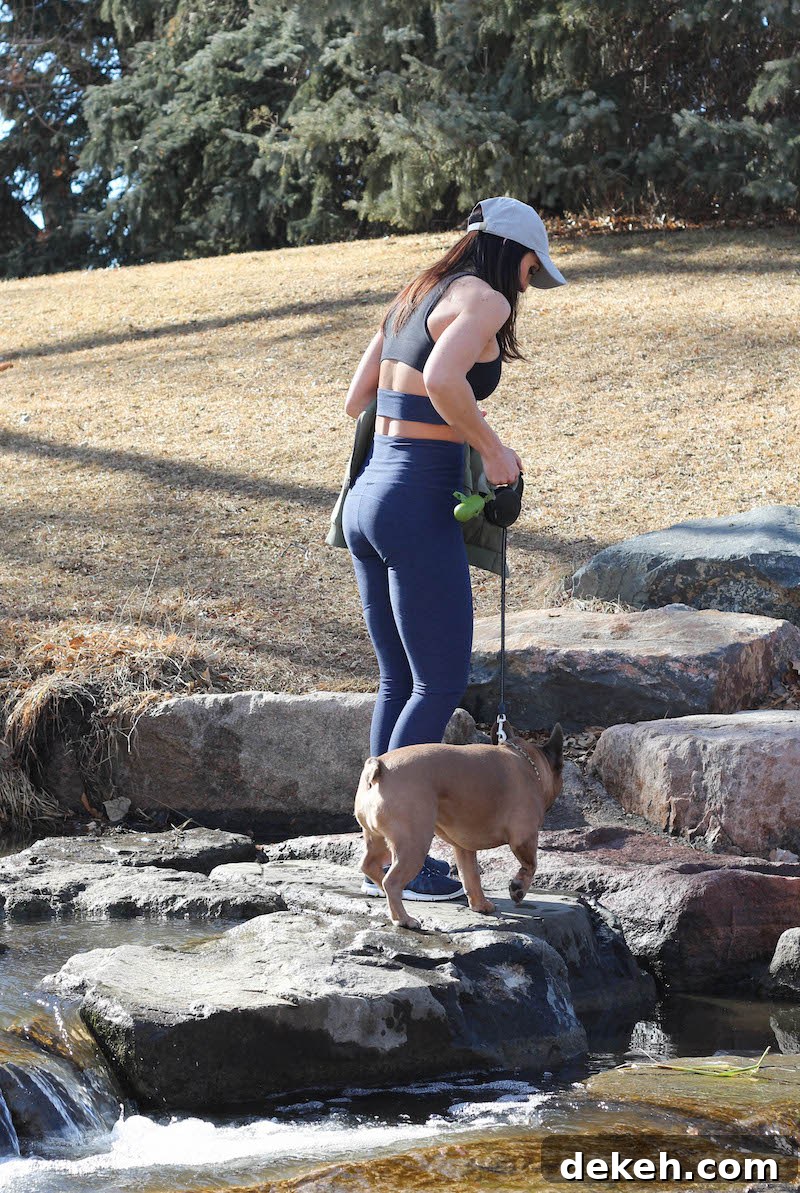 PaleOMG: Everyday Colorado Park Life with My Pup