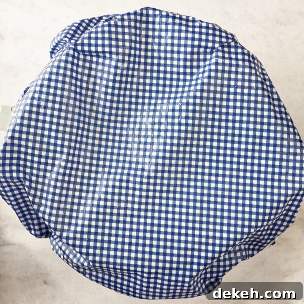 covering bowl of dough with blue checked shower cap.