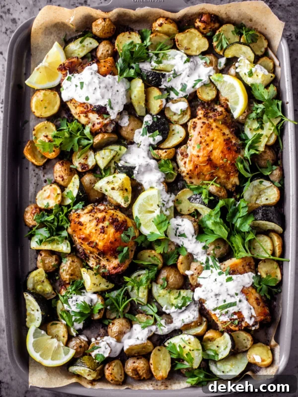 Sheet pan covered in roasted chicken thighs, zucchini, potatoes, with a drizzle of yogurt sauce and fresh herbs.