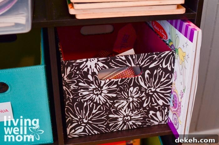 organizational cubbies to store kids games and supplies
