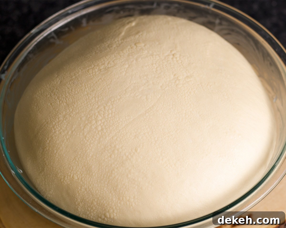 A bowl containing bread dough that is fully risen and ready to use.