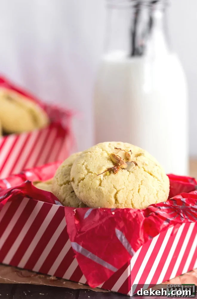 Nan Khatai Biscuits