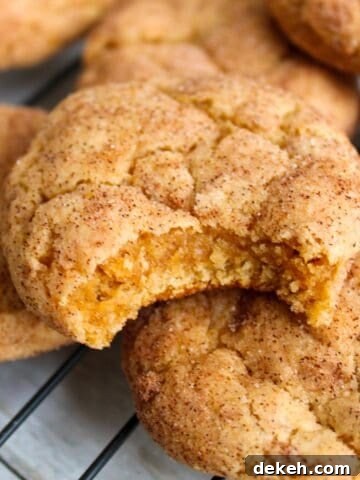 Stack of cookies with one cookie with a bite out of it.