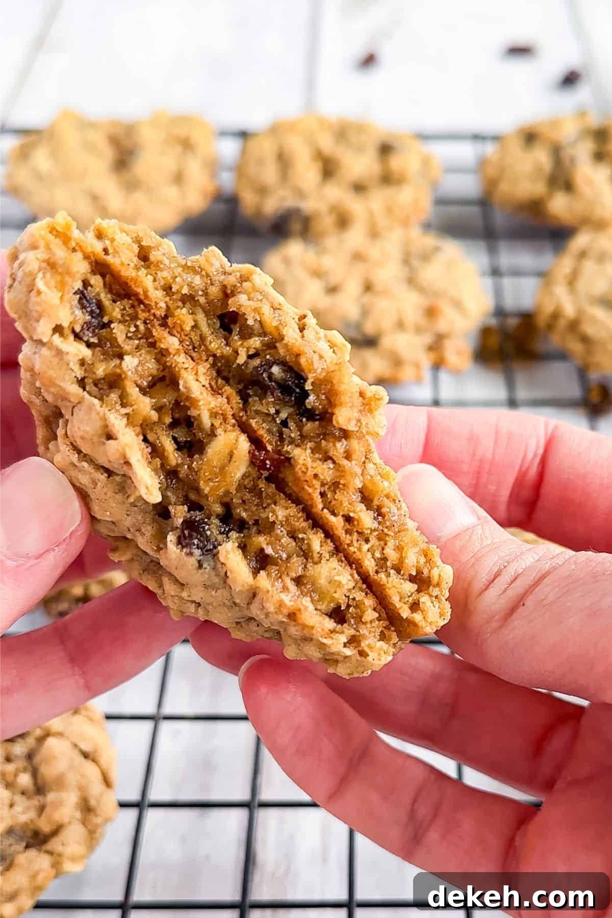 Broken oatmeal cookie for texture.