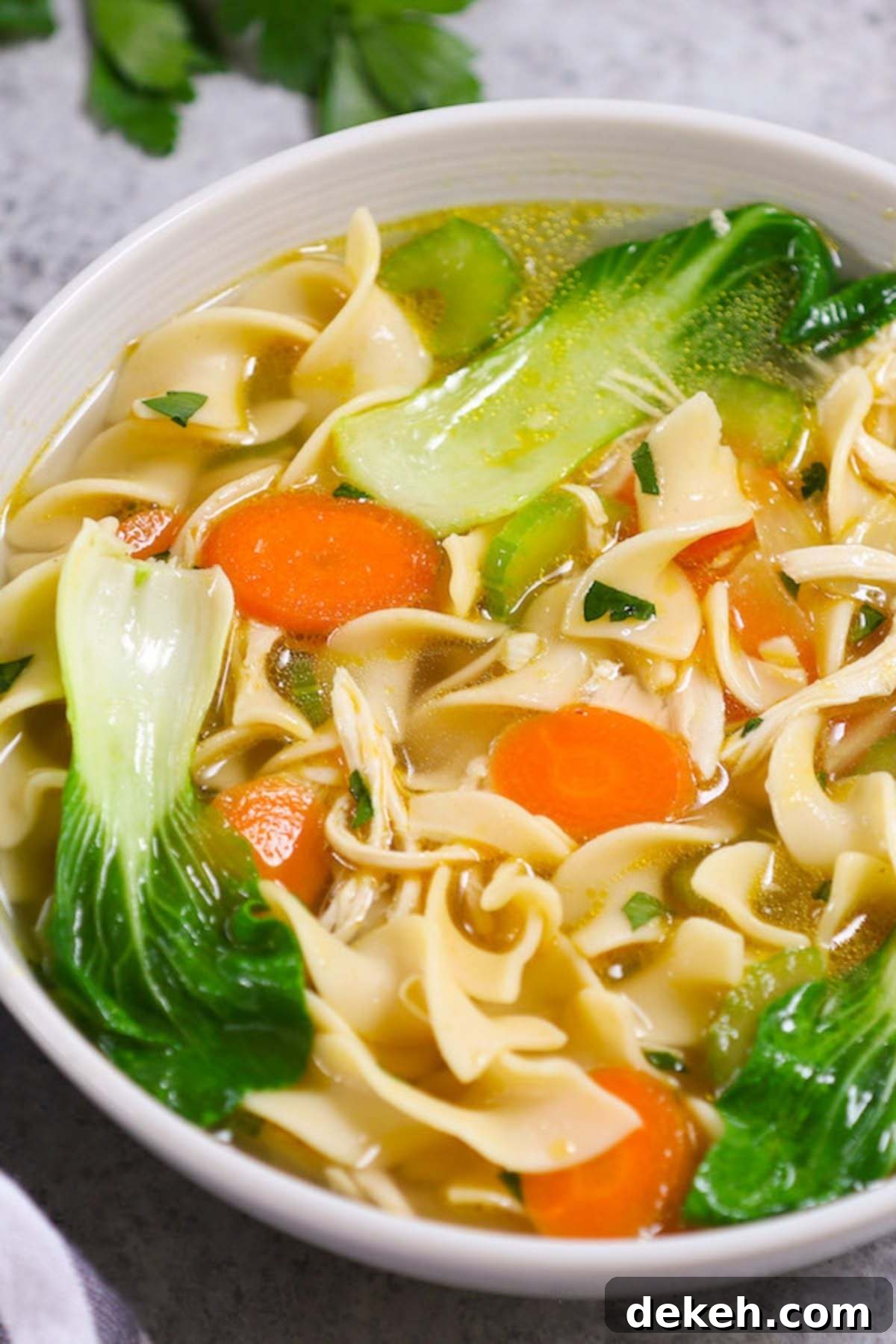 Instant Pot Chicken Noodle Soup