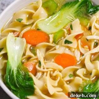 Instant Pot Chicken Noodle Soup