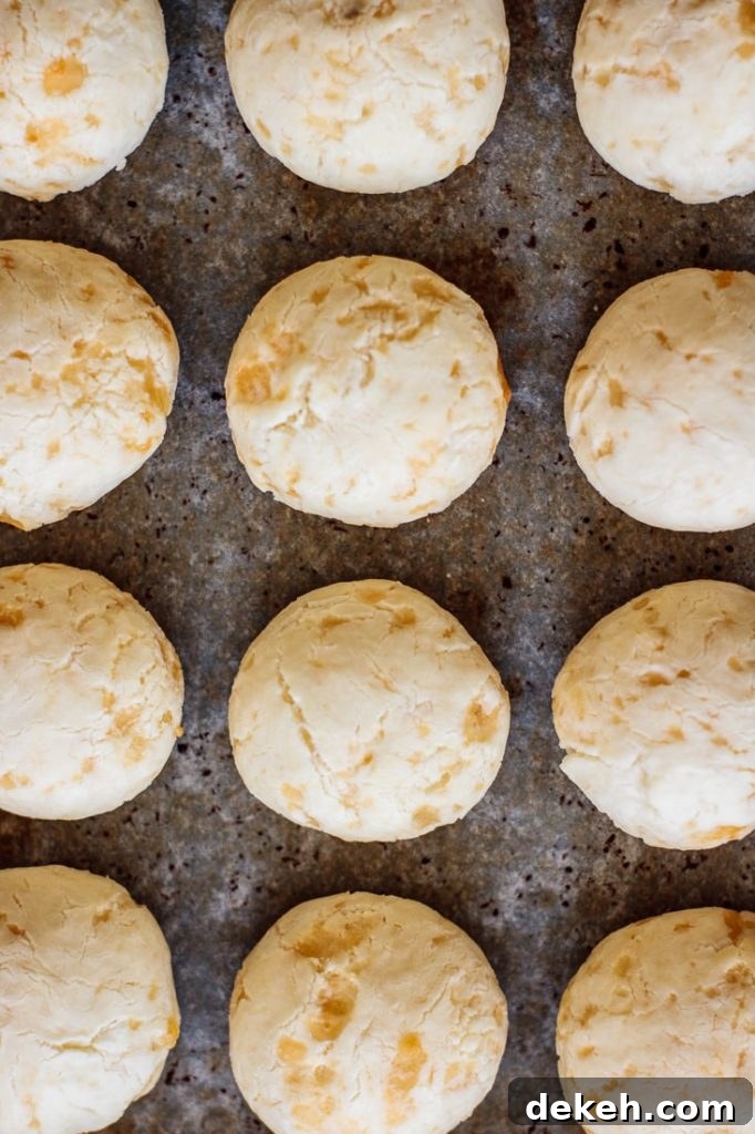 cheese breads just out of the oven