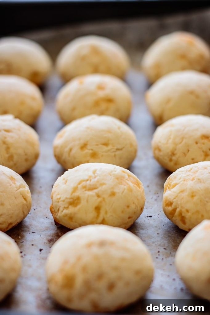 breads just out of the oven