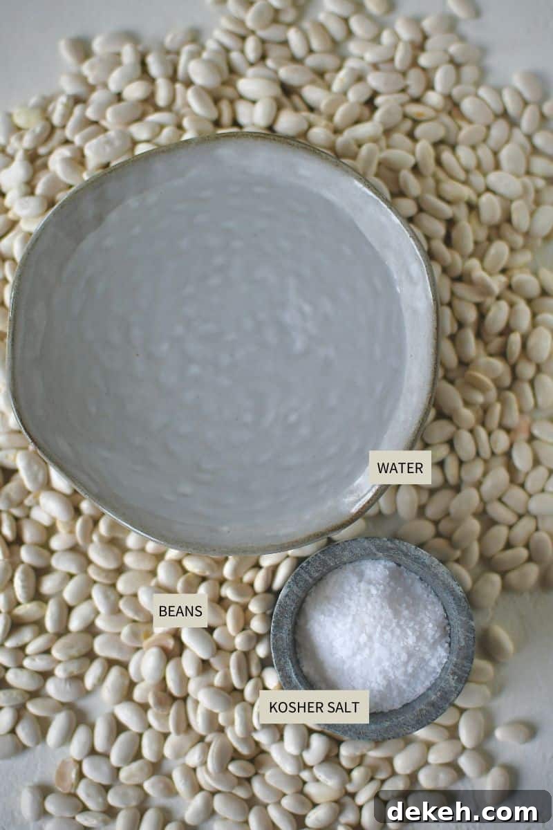 Ingredients needed to make Instant Pot Beans.